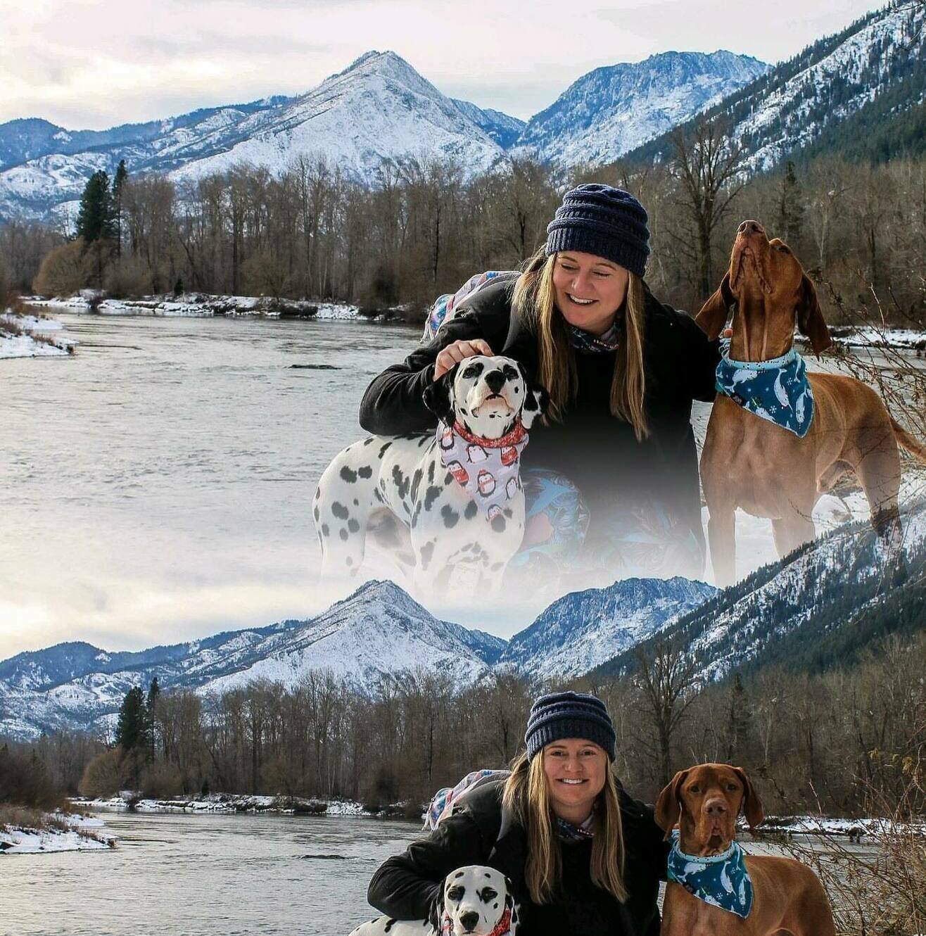 Кавалер кинг-чарльз-спаниель