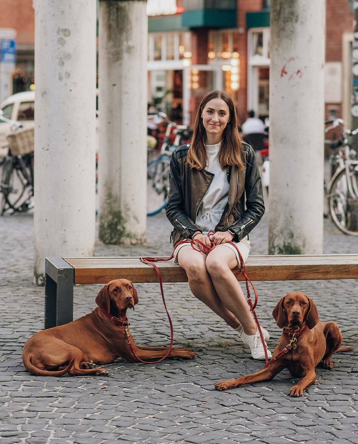 Кавалер кинг-чарльз-спаниель