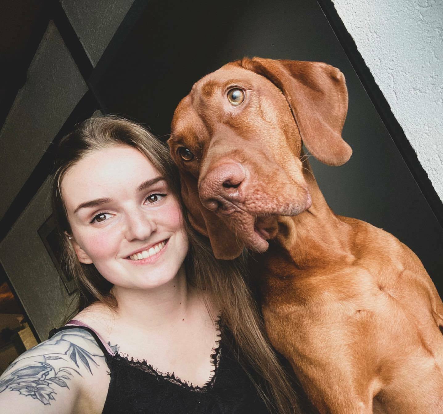 Кавалер кинг-чарльз-спаниель