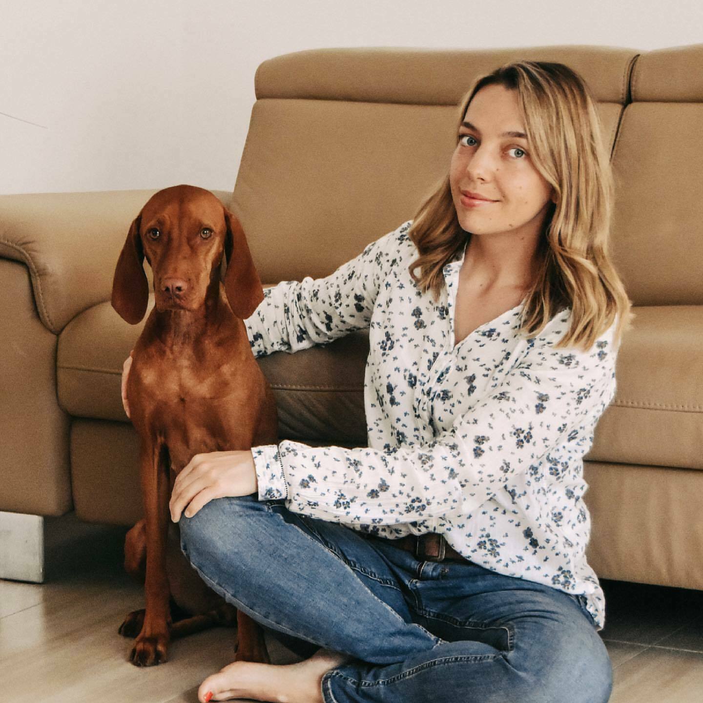 Кавалер кинг-чарльз-спаниель