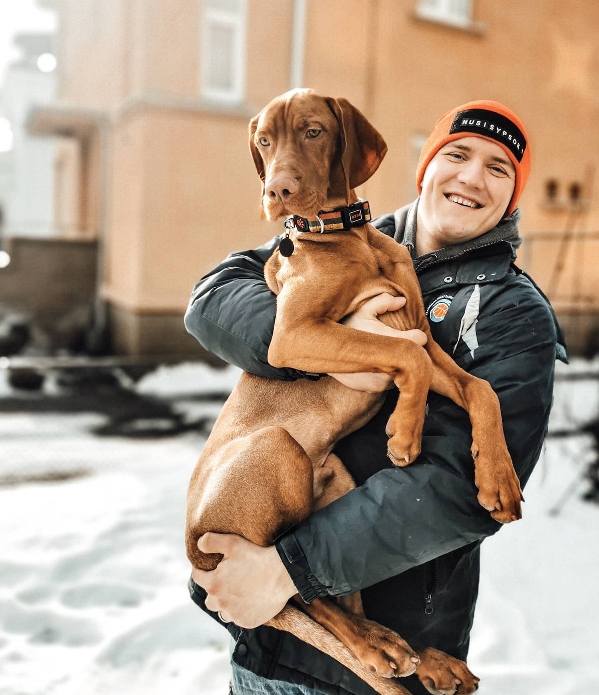 Кавалер кинг-чарльз-спаниель