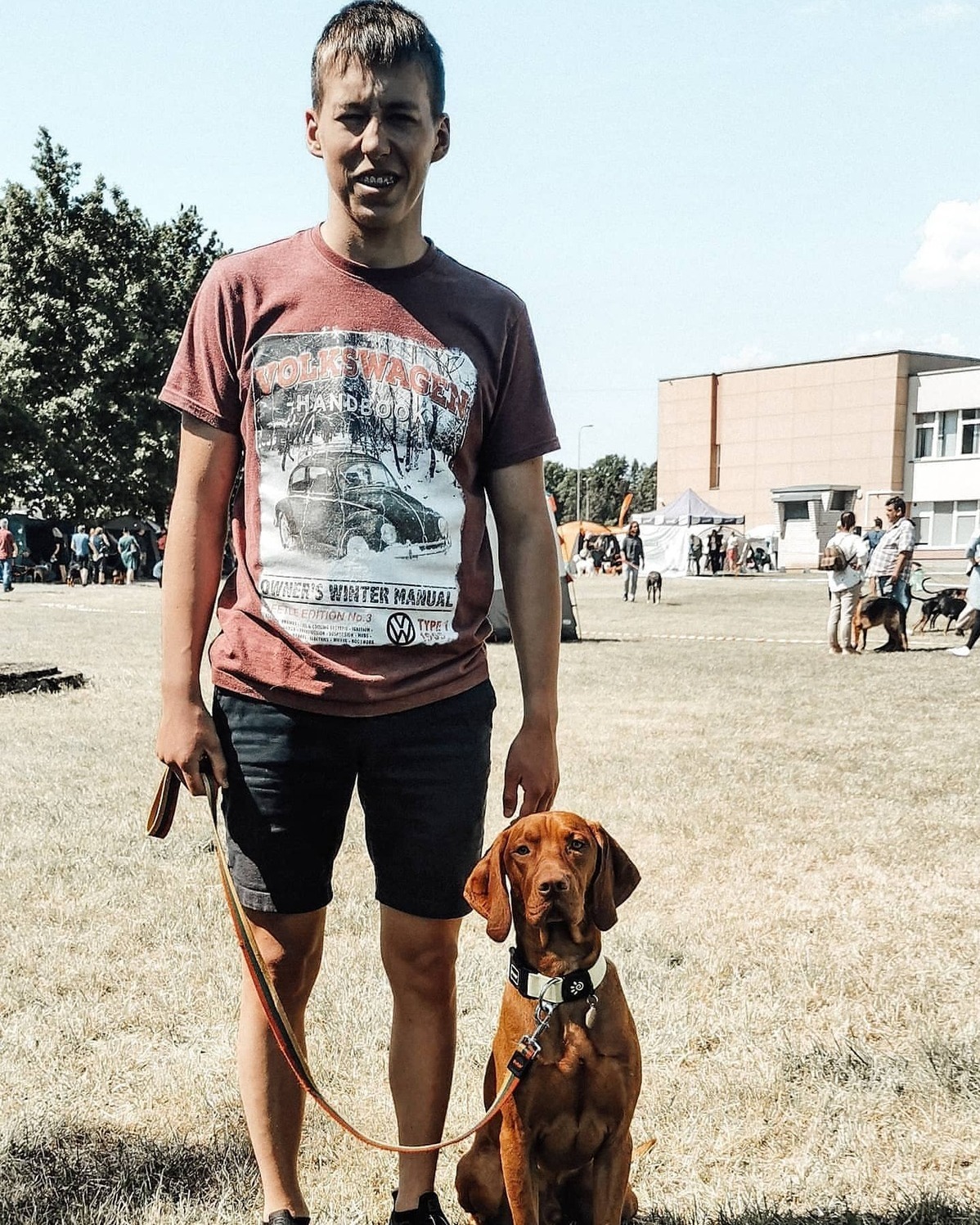 Кавалер кинг-чарльз-спаниель