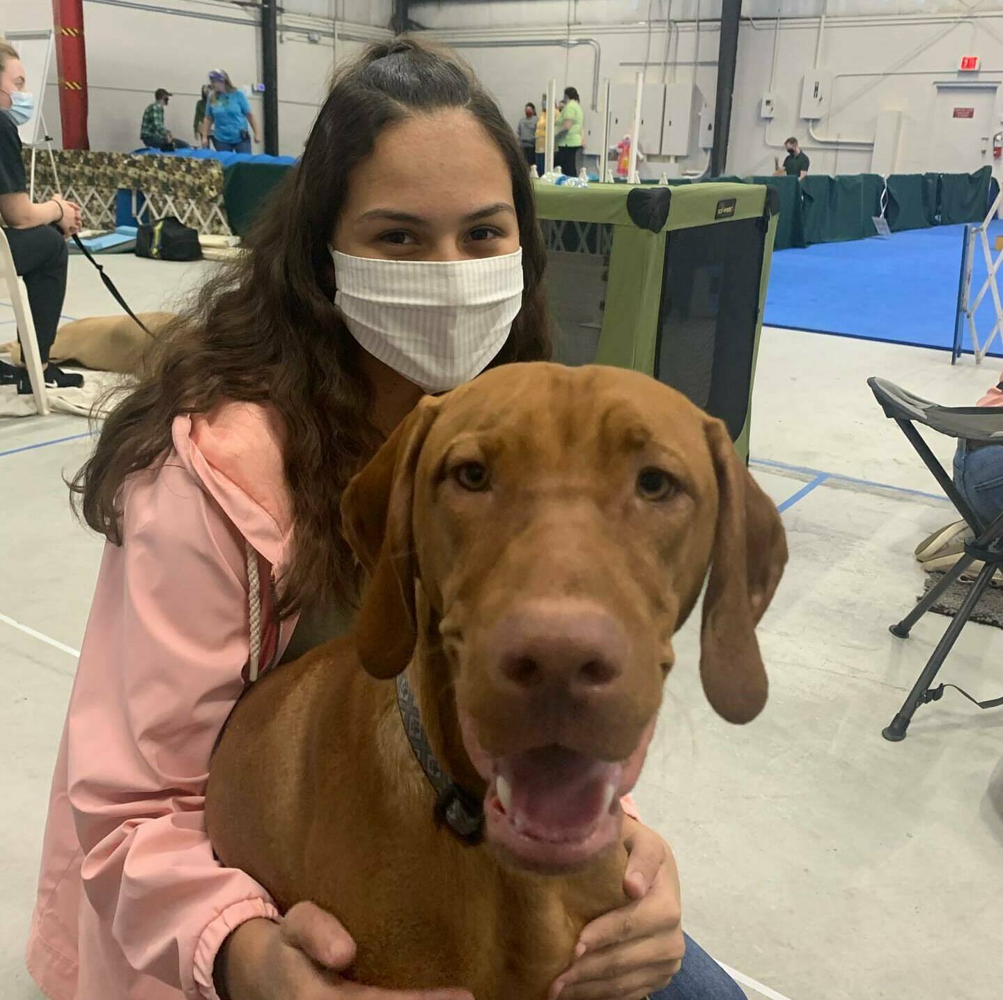 Кавалер кинг-чарльз-спаниель